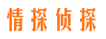 未央市调查公司